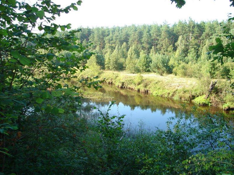 Лугинки з panoramio.com - Лугинки