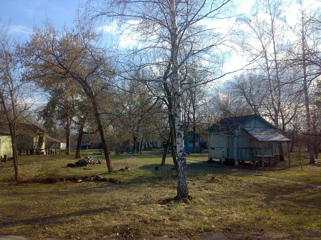 Козин з panoramio.com - Козин