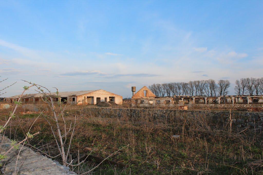 Подорожня з panoramio.com - Подорожня