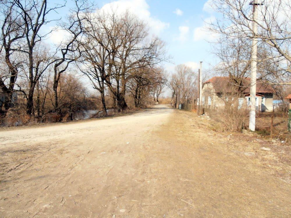 Гонятичі з panoramio.com - Гонятичі