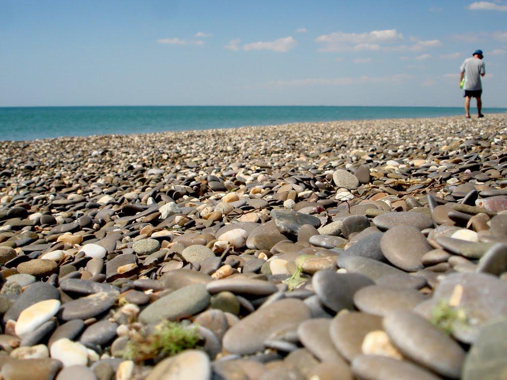 Прибережне з panoramio.com - Прибережне