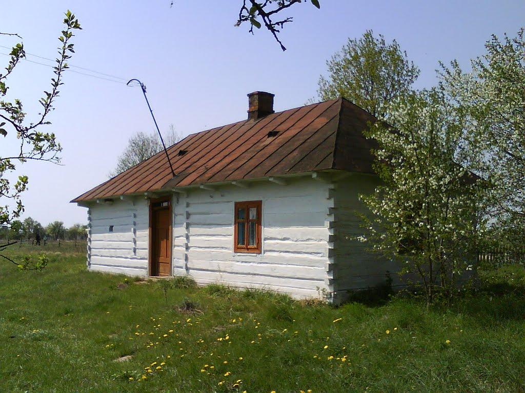 Нивиці з panoramio.com - Нивиці