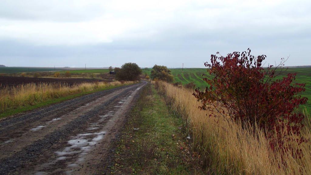 Лаврів з panoramio.com - Лаврів