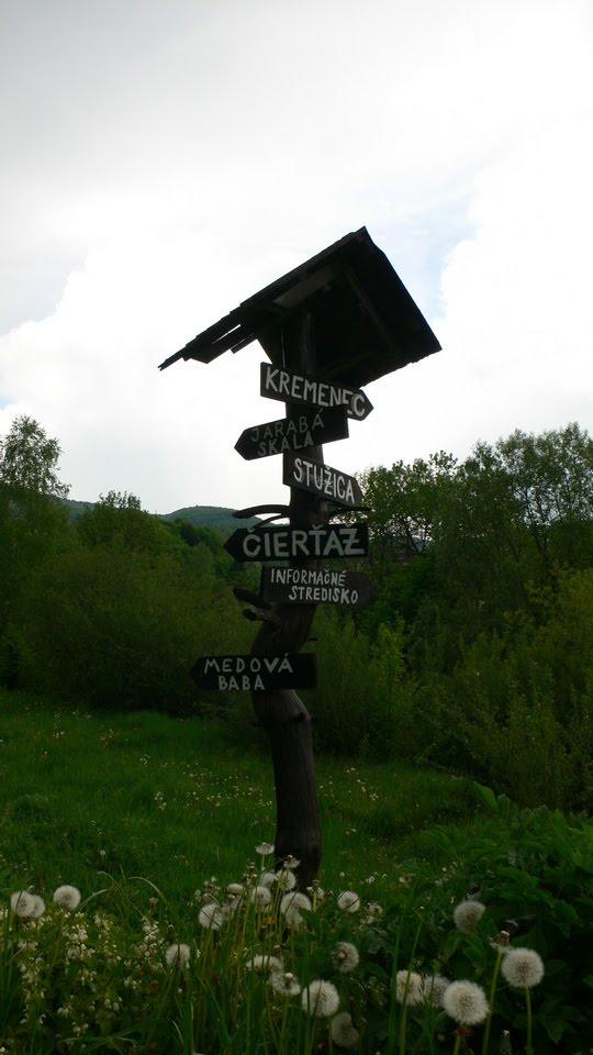 Княгиня з panoramio.com - Княгиня