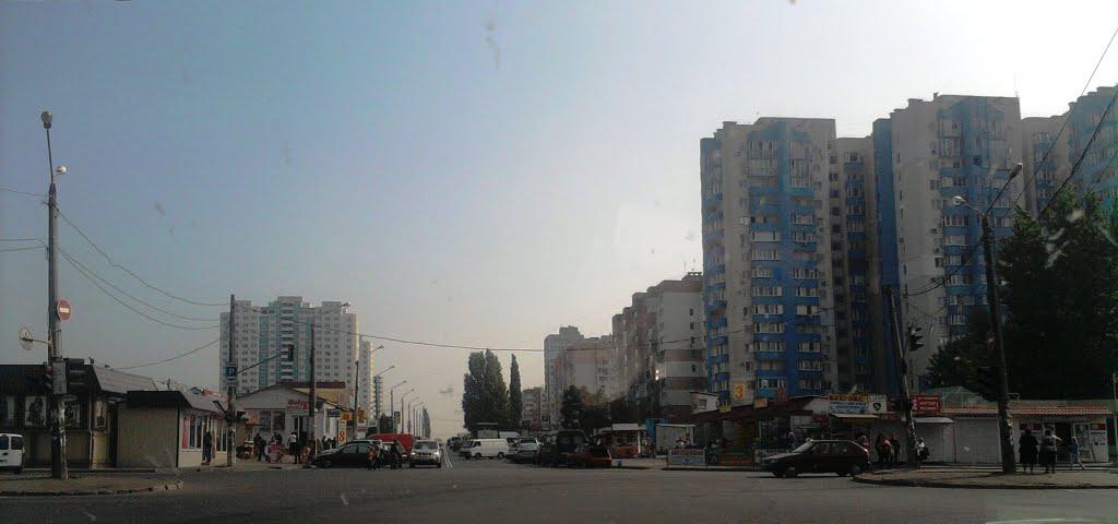 Крижанівка з panoramio.com - Крыжановка