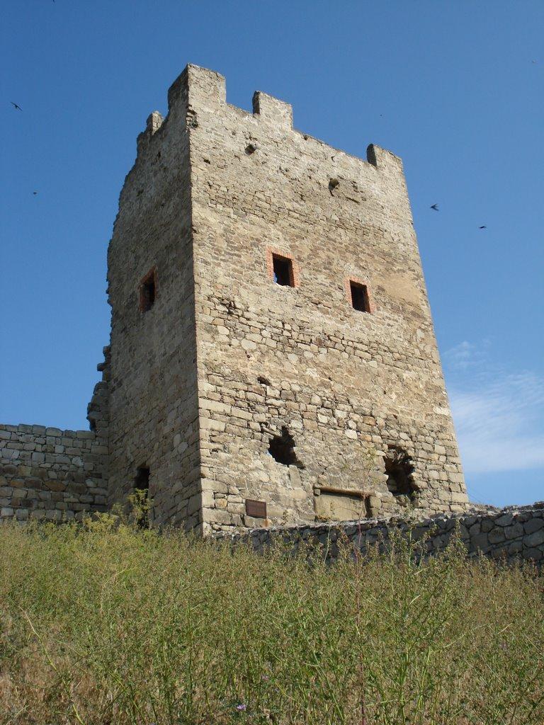 Феодосія з panoramio.com (ч.4) - Pheodosia
