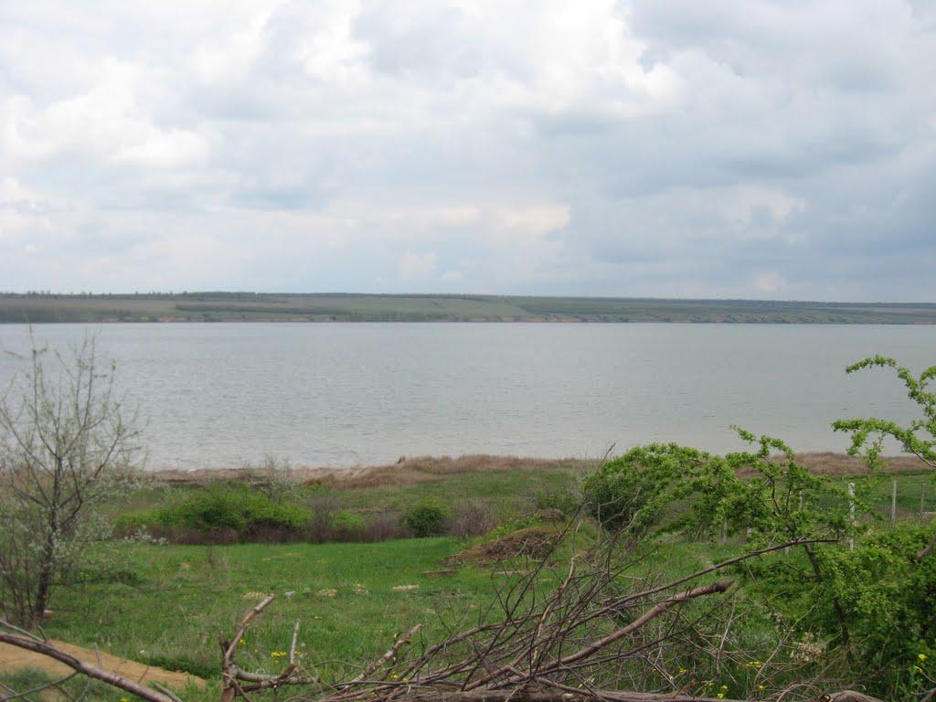 Щорсове з panoramio.com - Schorsove