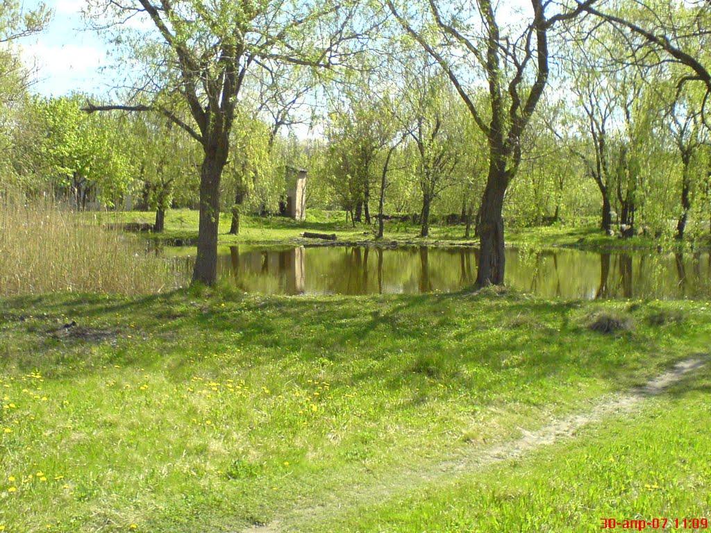 Олександрія з panoramio.com (ч.3) - Olexandria