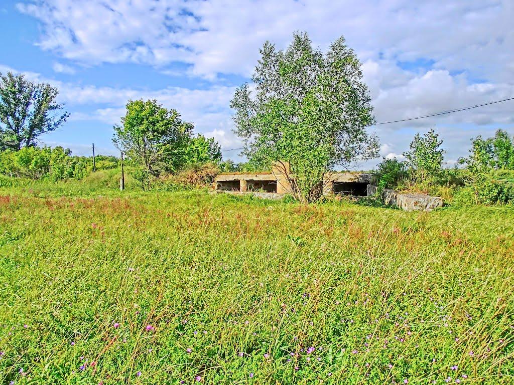 Бандурівка з panoramio.com - Бандурівка