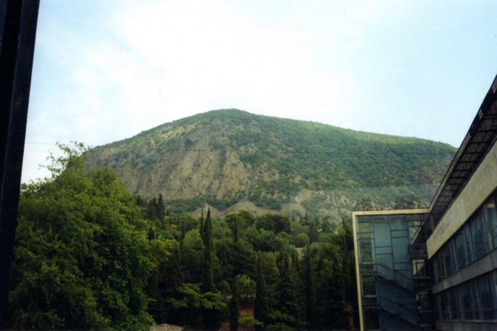 Підгородне з panoramio.com - Підгородне