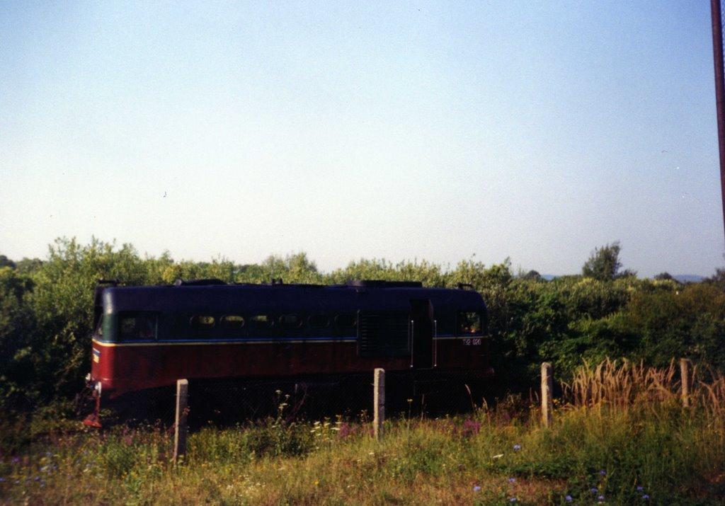 Верхні Ремети з panoramio.com - Верхние Реметы