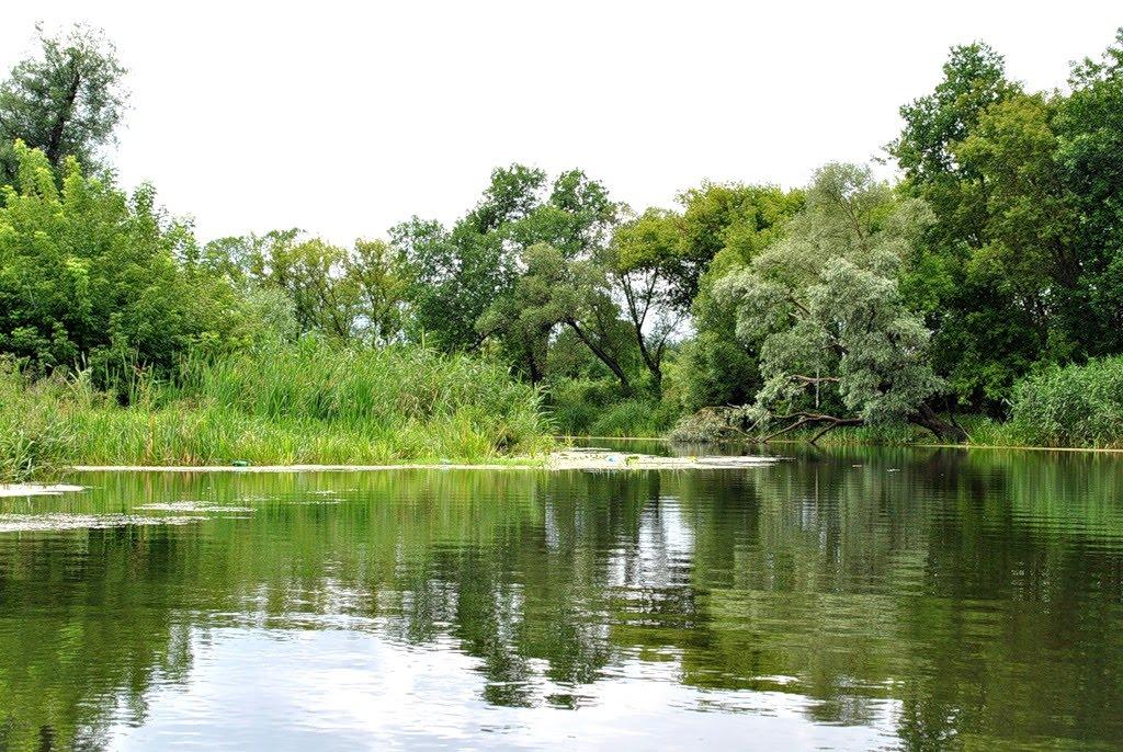 Плетенівка з panoramio.com - Плетенівка