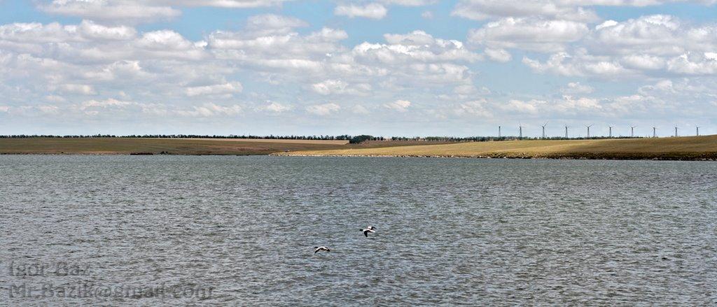 Новоозерне з panoramio.com - Новоозерне