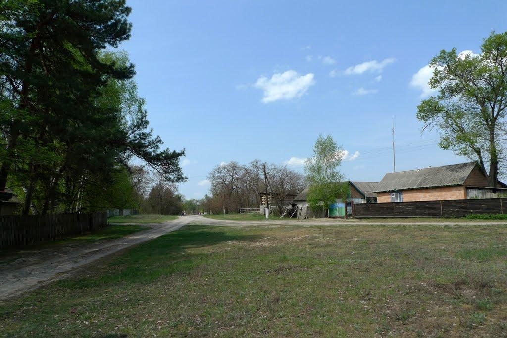 Соснівка з panoramio.com - Соснівка