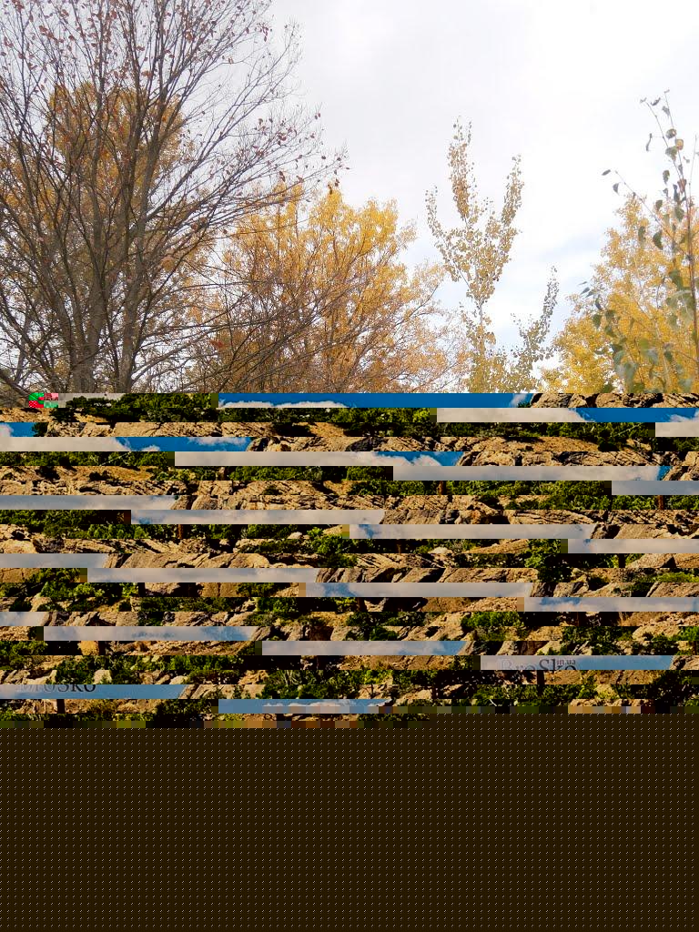 Нечаївка з panoramio.com - Нечаевка