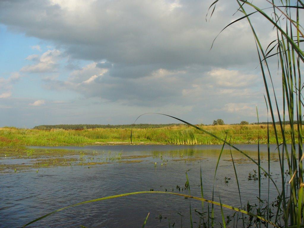 Чернеччина з panoramio.com - Чернеччина