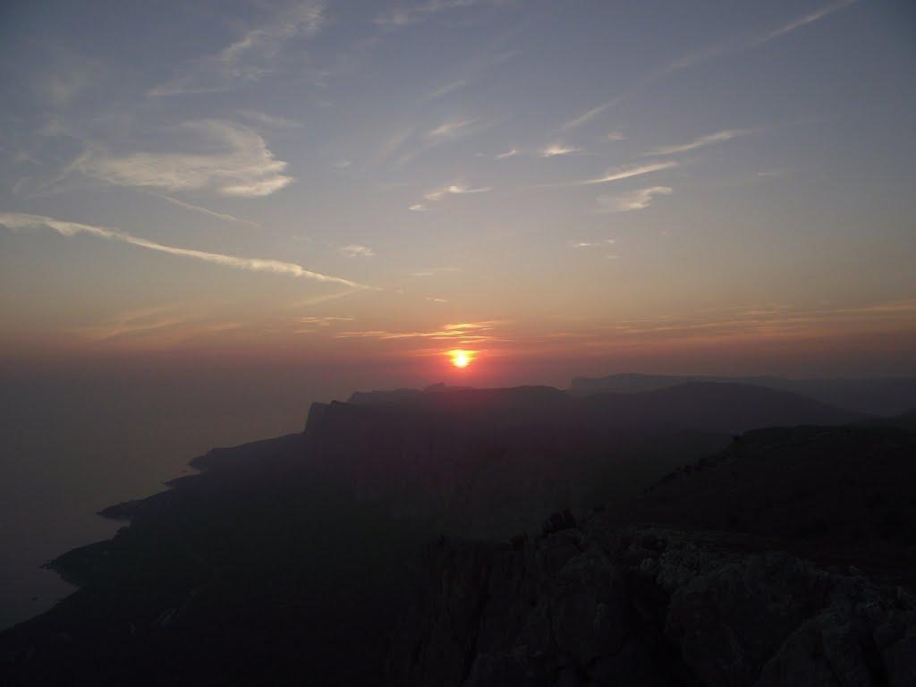 Олива з panoramio.com - Олива