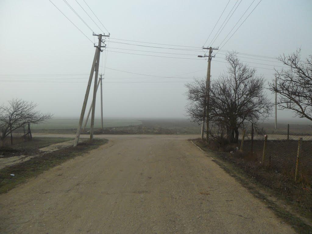 Ромашкине з panoramio.com - Ромашкине