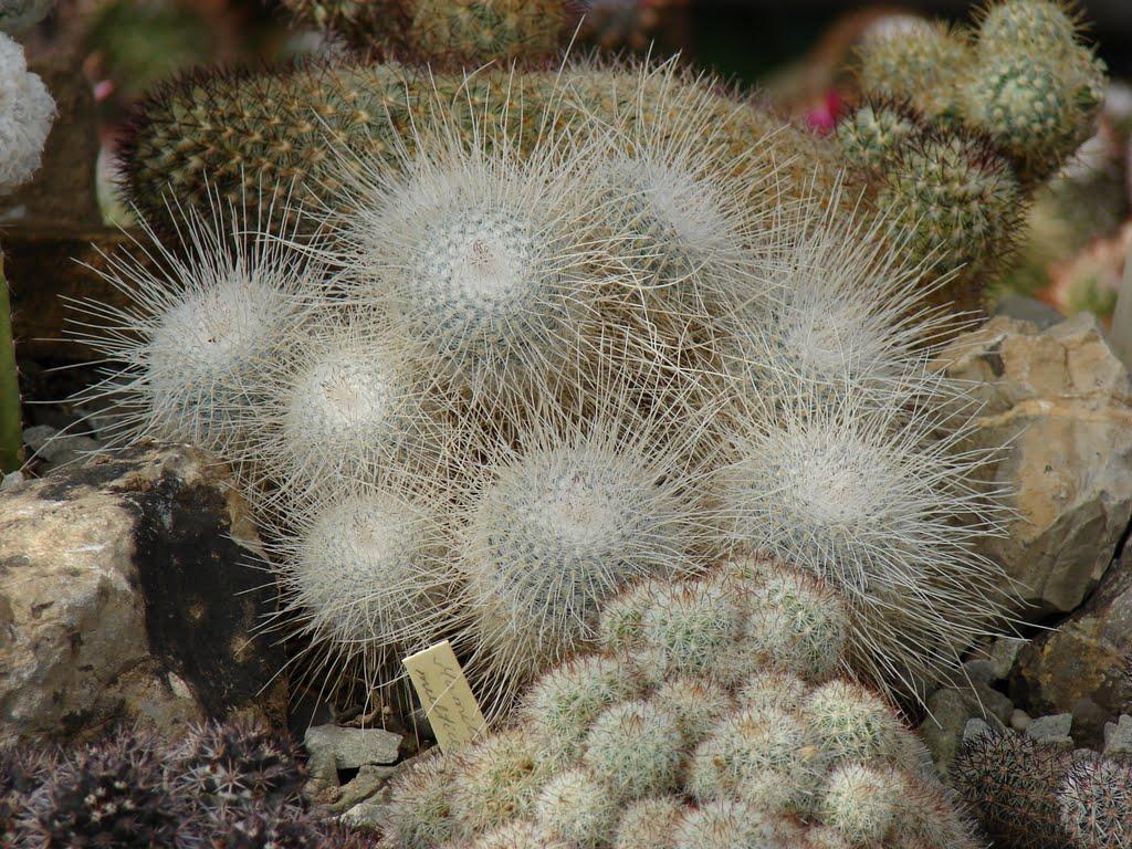 Нікіта з panoramio.com (ч.2) - Нікіта