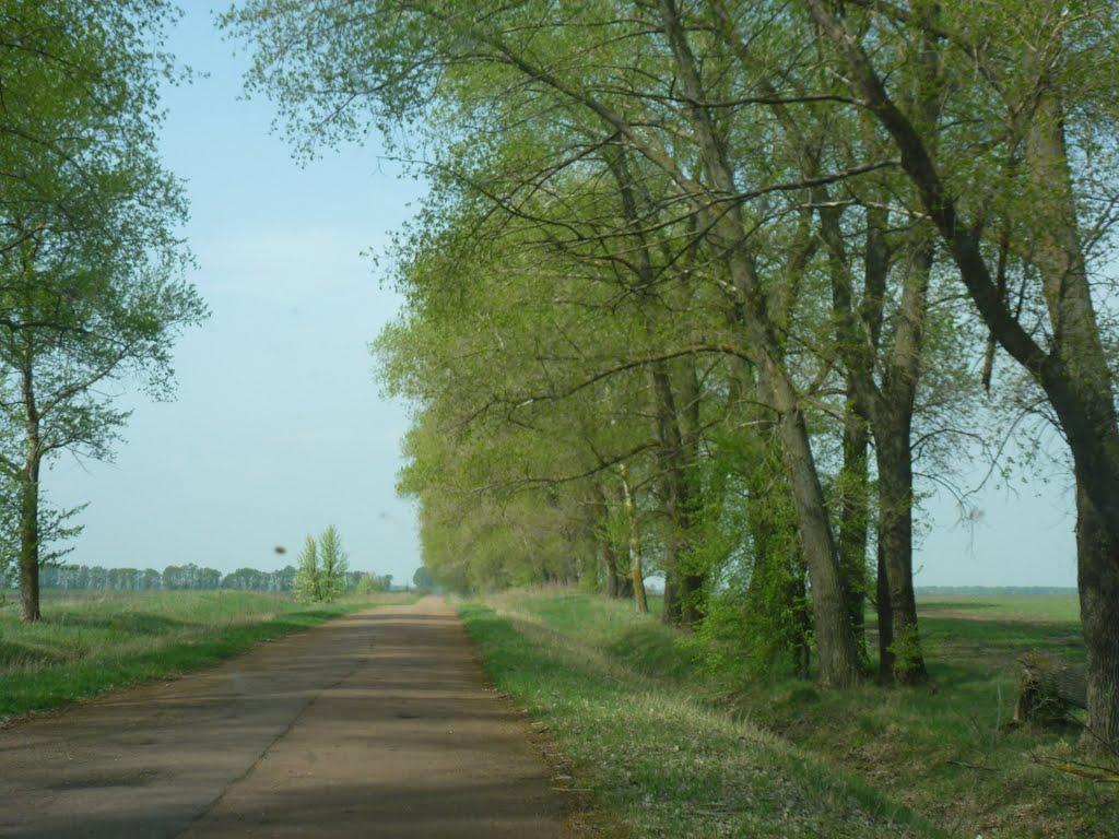 Кравчиха з panoramio.com - Kravchykha