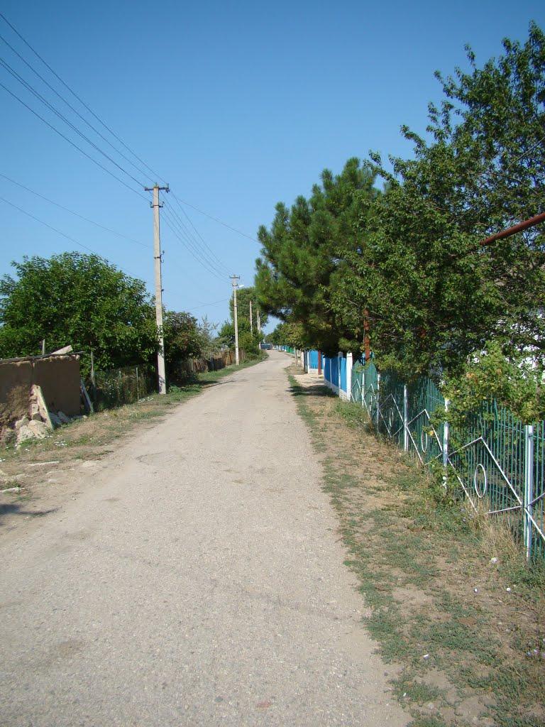 Суворове з panoramio.com - Суворове