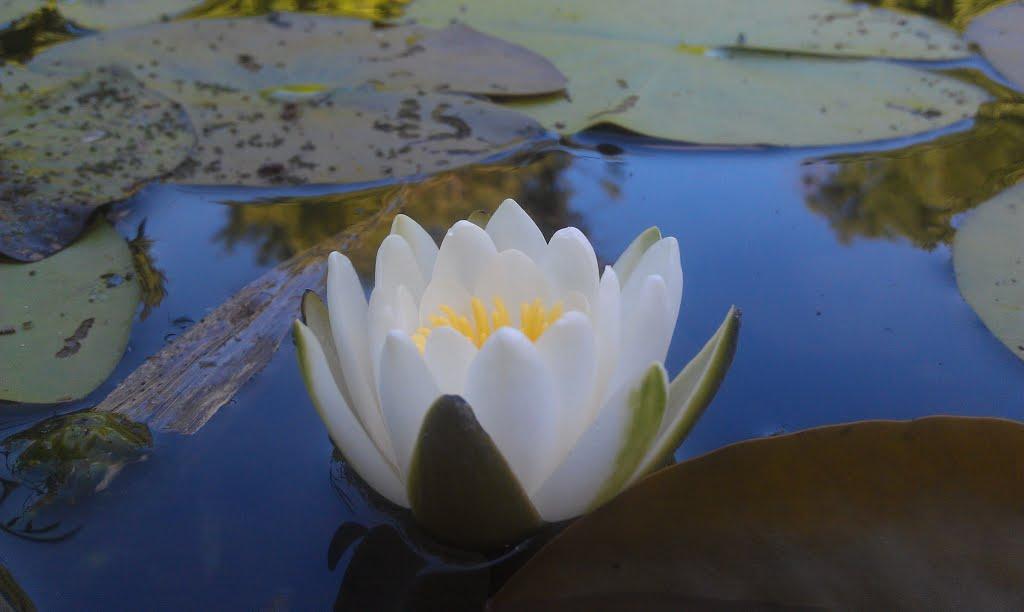 Есхар з panoramio.com - Есхар