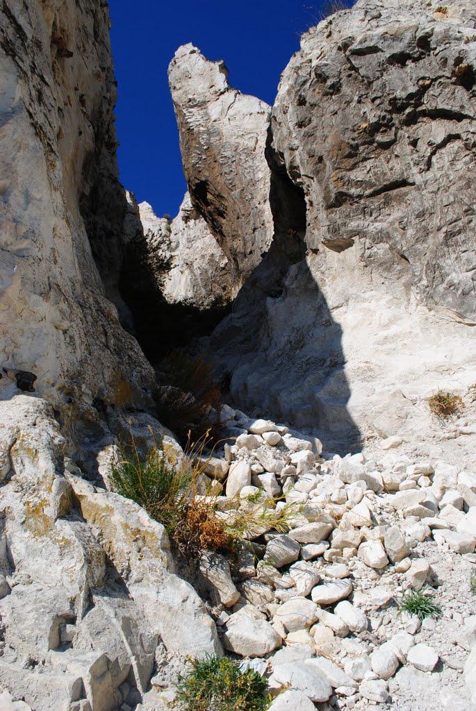 Білокузьминівка з panoramio.com - Білокузьминівка