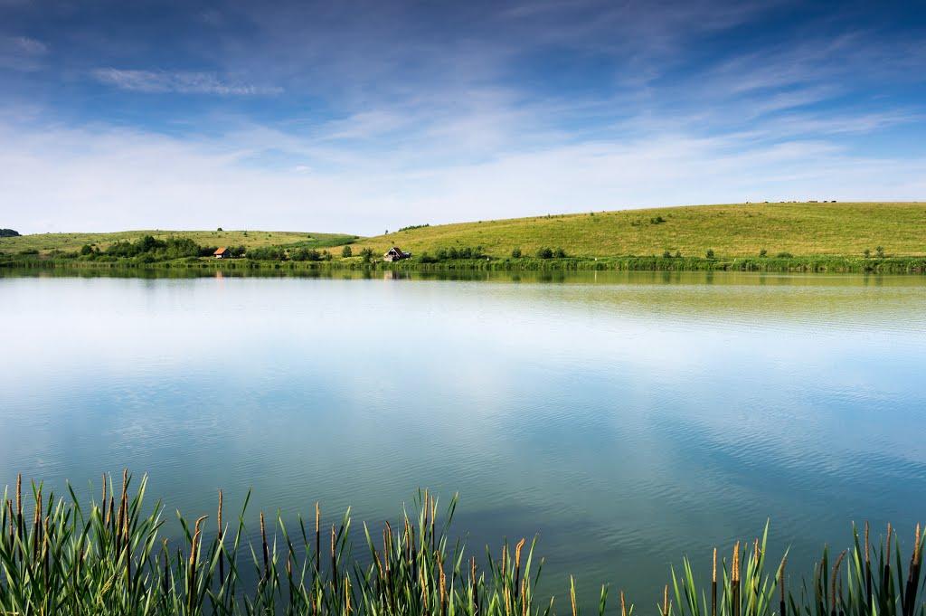 Молошки з panoramio.com - Молошки