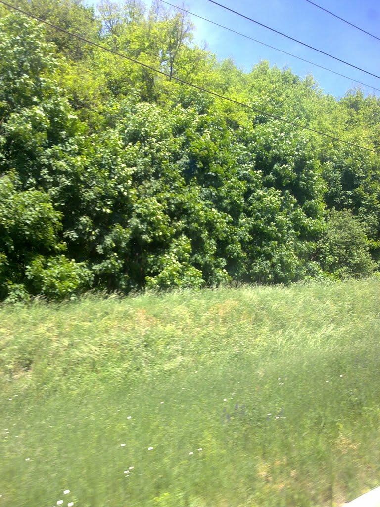 Стриївка з panoramio.com - Стрыевка