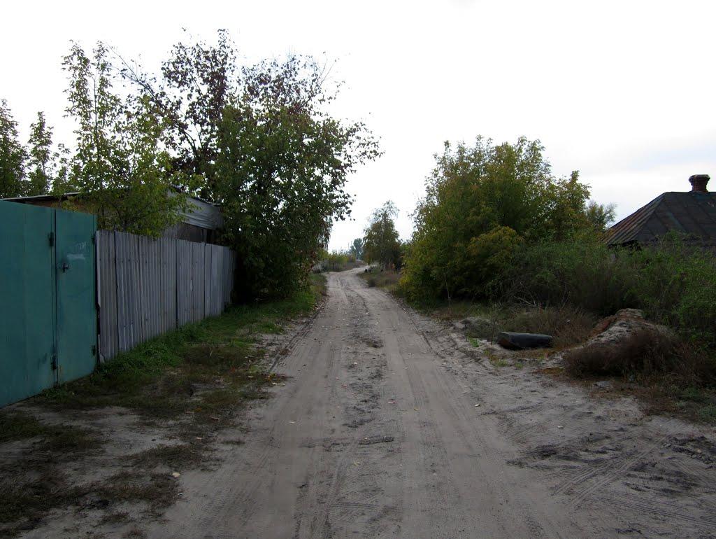 Безлюдівка з panoramio.com (ч.2) - Безлюдовка