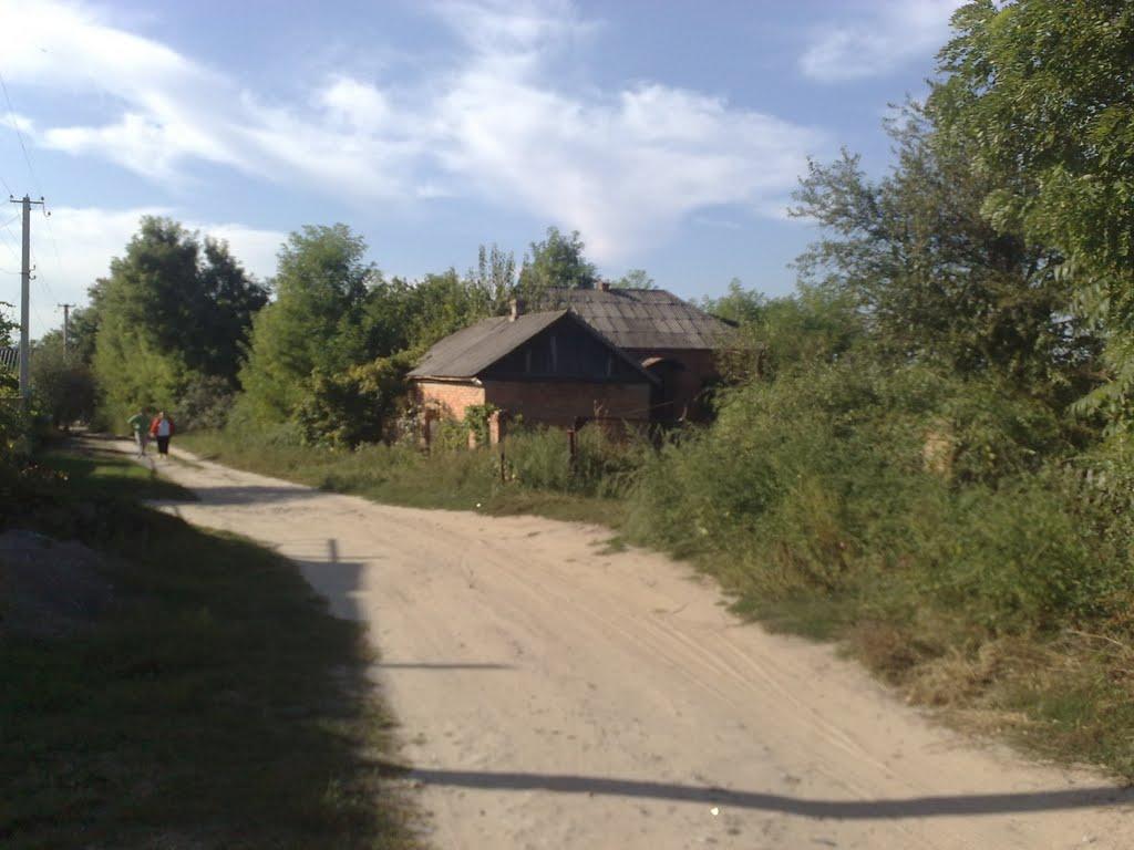 Троїцьке з panoramio.com - Троїцьке