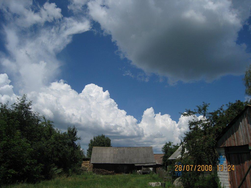 Мельники-Річицькі з panoramio.com - Мельники-Річицькі