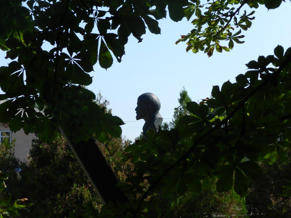 Вереміївка з panoramio.com - Веремиевка