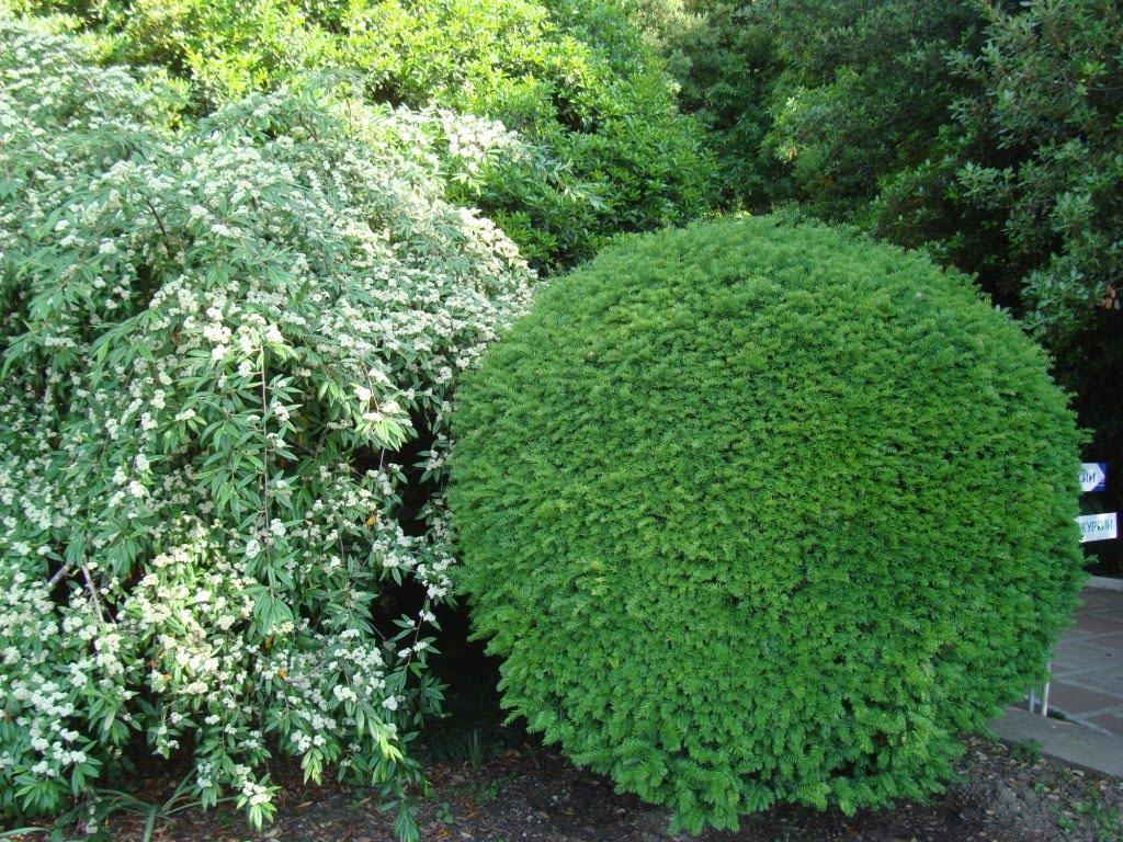 Нікіта з panoramio.com (ч.2) - Нікіта