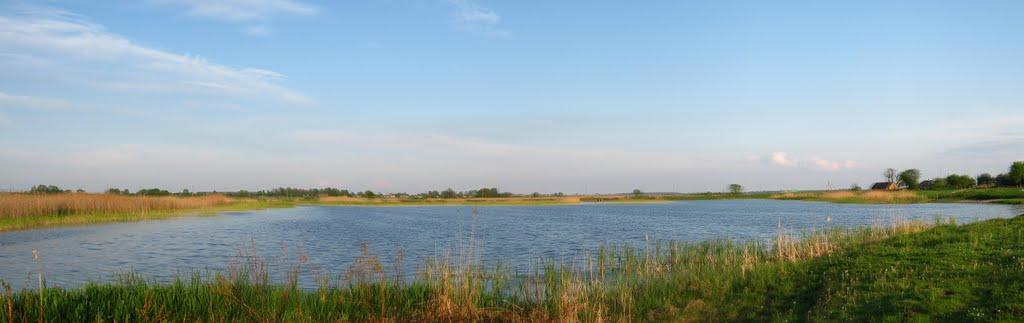 Криве з panoramio.com - Кривое
