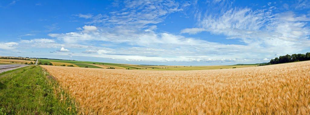 Тинна з panoramio.com - Тынная