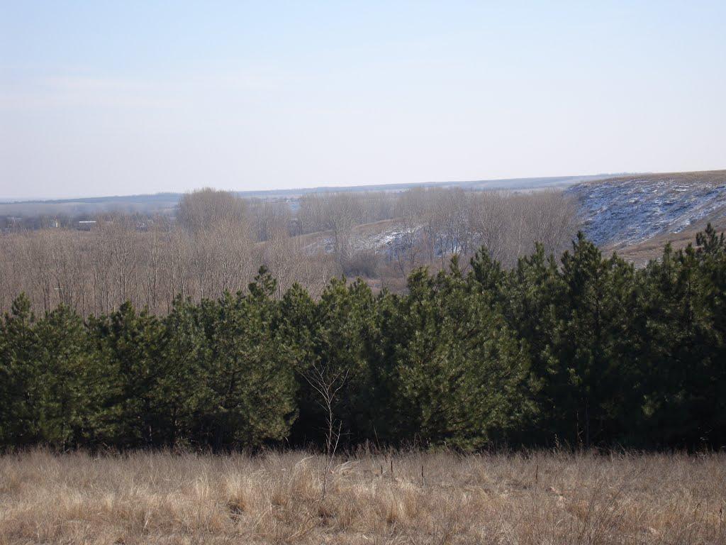 Лугове з panoramio.com - Лугове