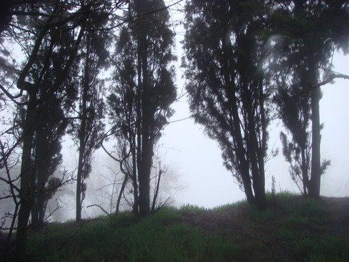 Кореїз з panoramio.com (ч.2) - Кореїз