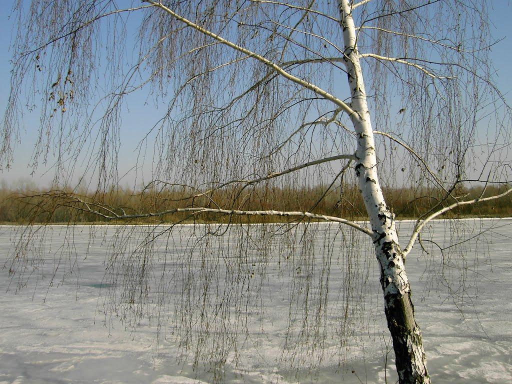 Вища Дубечня з panoramio.com - Вища Дубечня