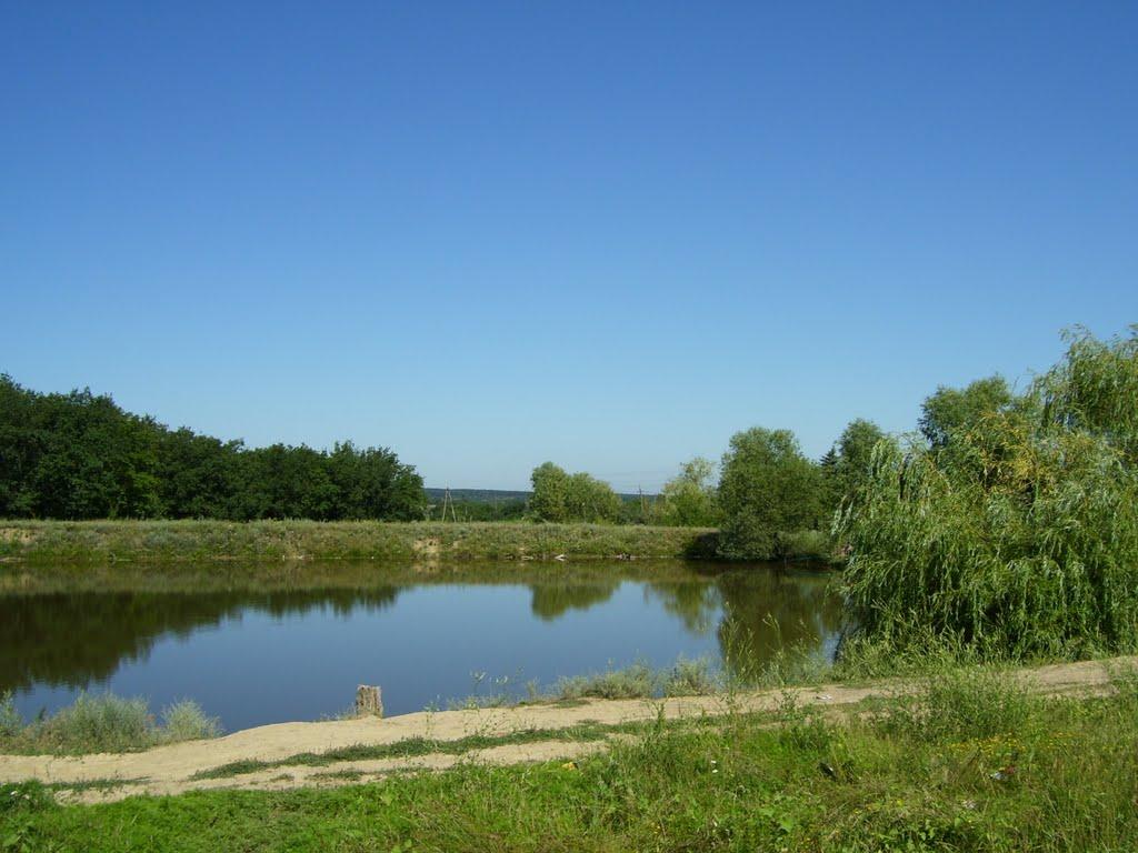 Горлівка з panoramio.com (ч.7) - Горловка