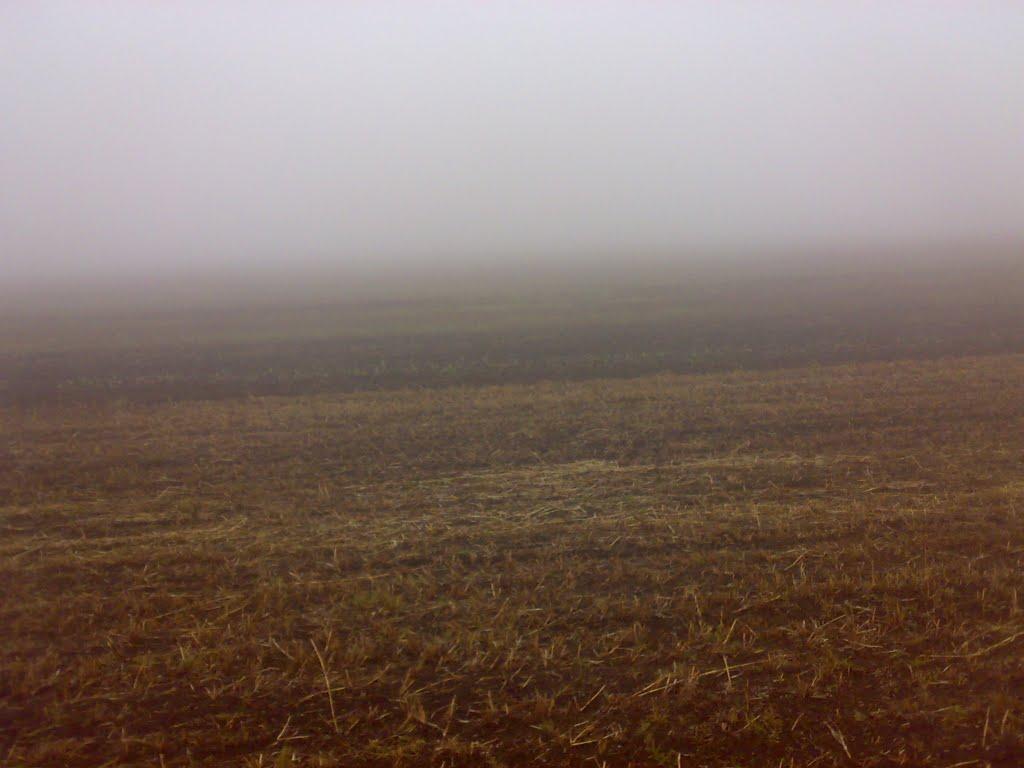 Бурдівка з panoramio.com - Бурдівка