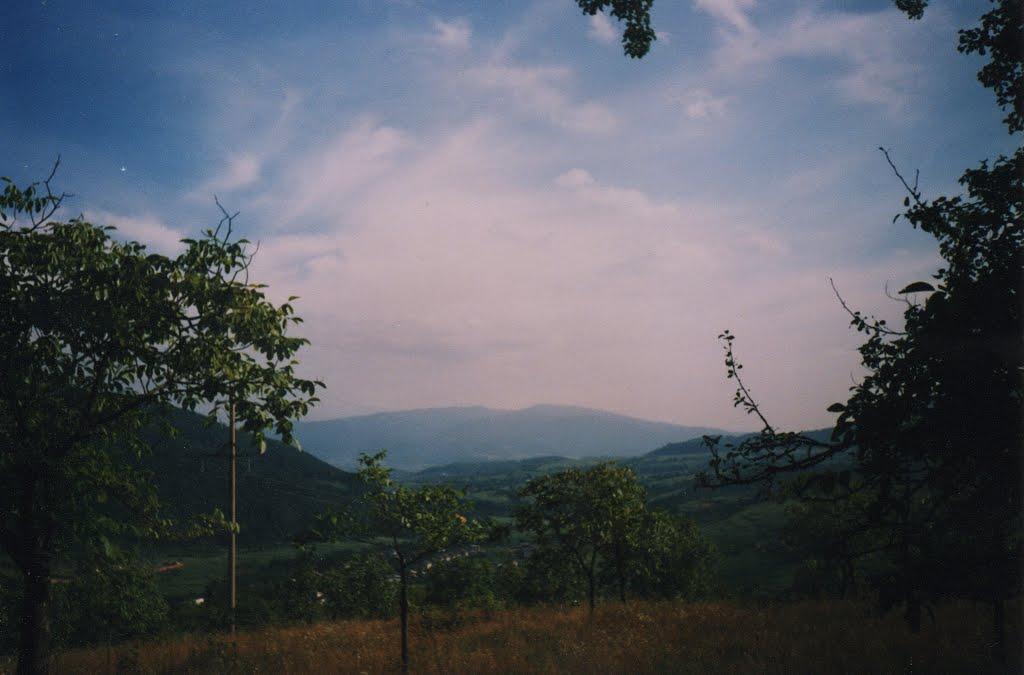 Поляна з panoramio.com - Поляна