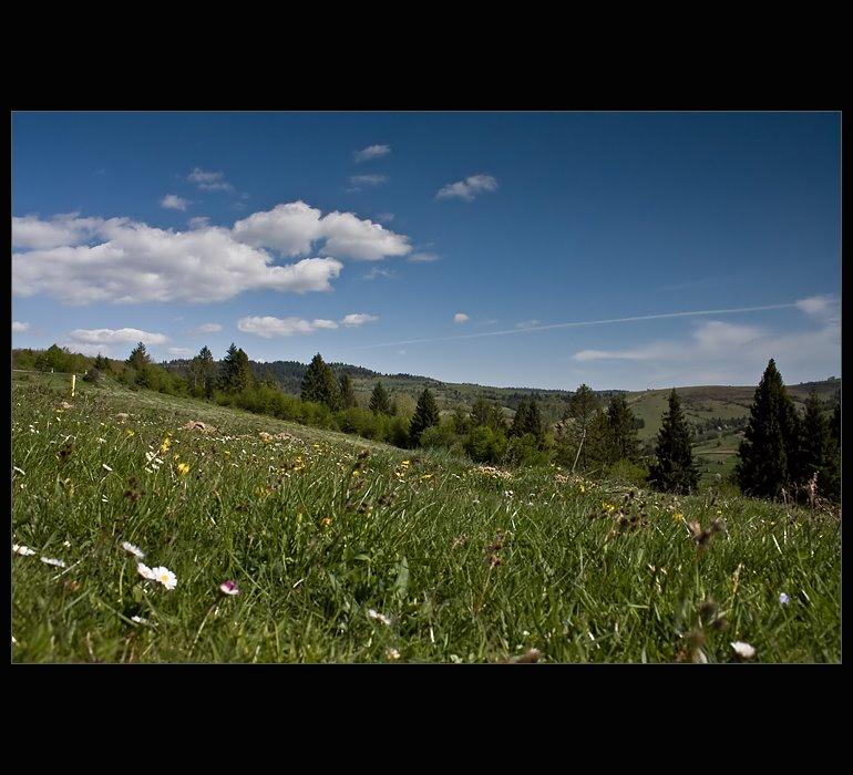 Верб'яж з panoramio.com - Верб'яж