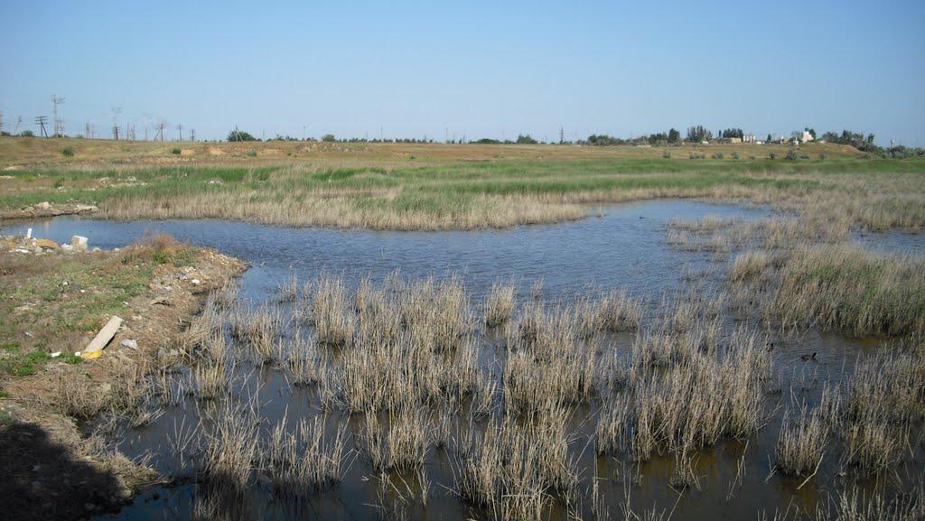 Прибережне з panoramio.com - Прибережне
