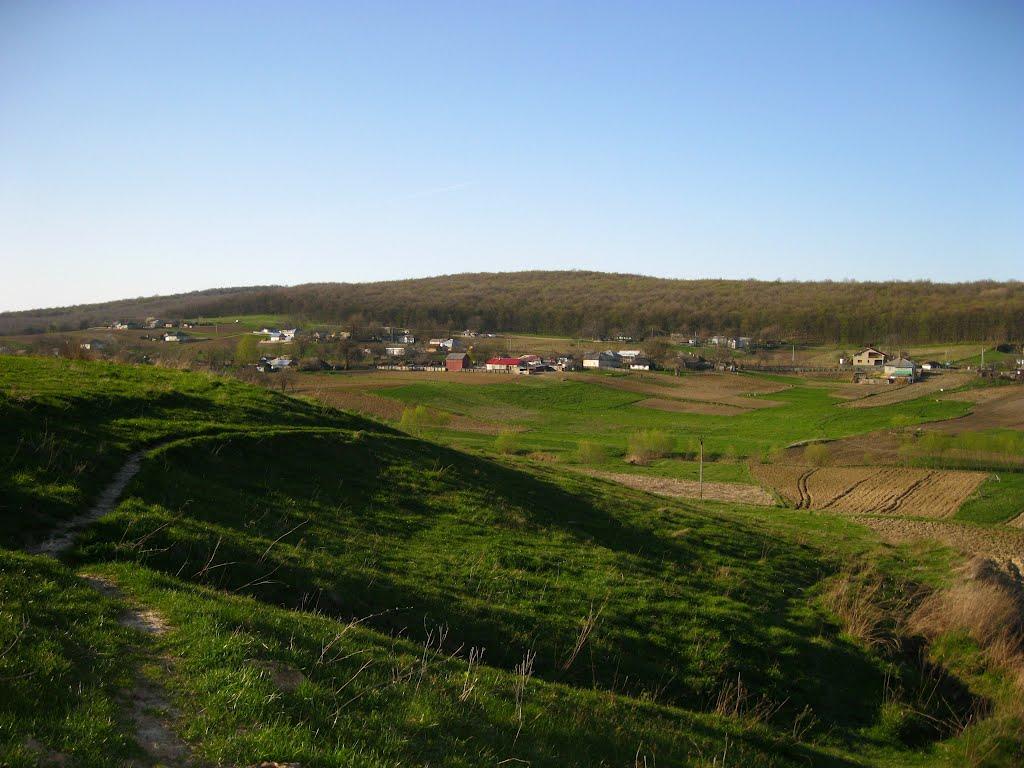 Ванчиківці з panoramio.com - Ванчиківці