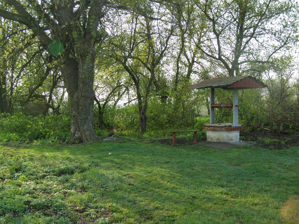 Пінчуки з panoramio.com - Пінчуки