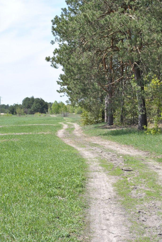 Шменьки з panoramio.com - Шменьки