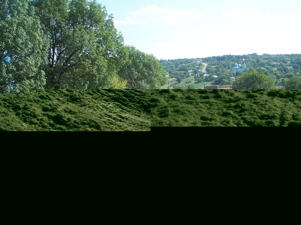 Вербка з panoramio.com - Вербка