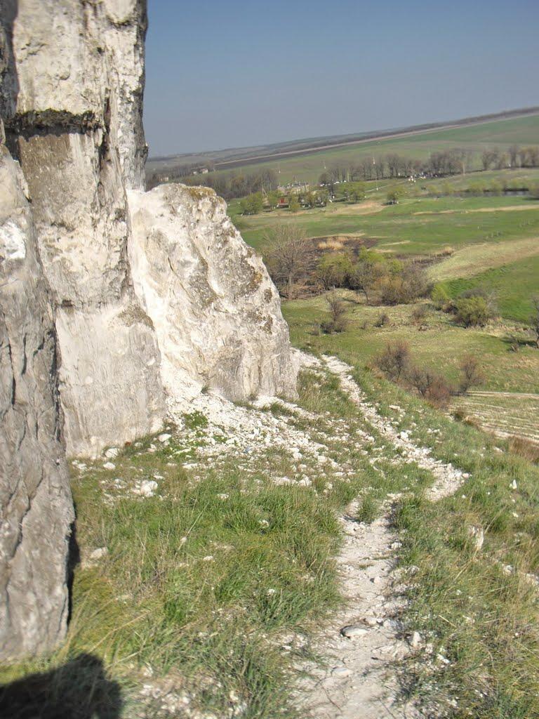 Білокузьминівка з panoramio.com - Білокузьминівка