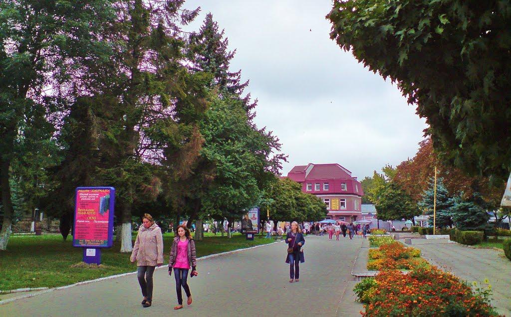 Бережани з panoramio.com - Бережани